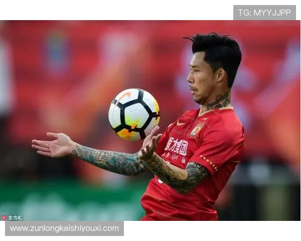 社会各界对尊龙博彩的看法与舆论影响研究